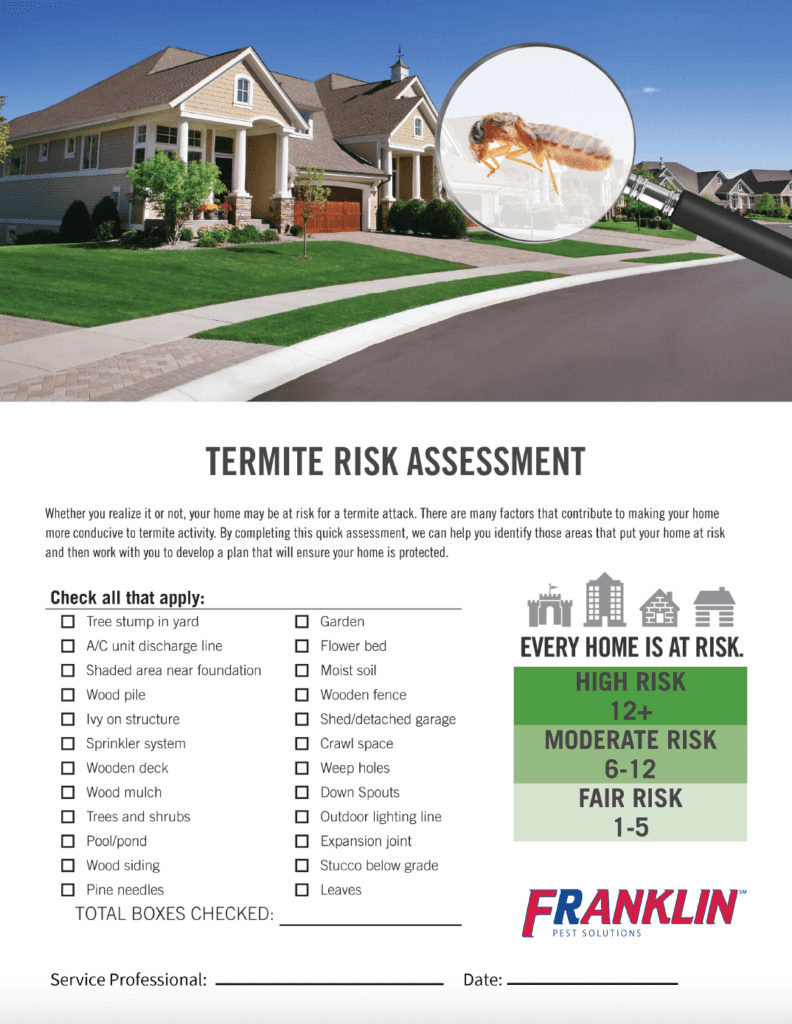 termite risk assessment tips