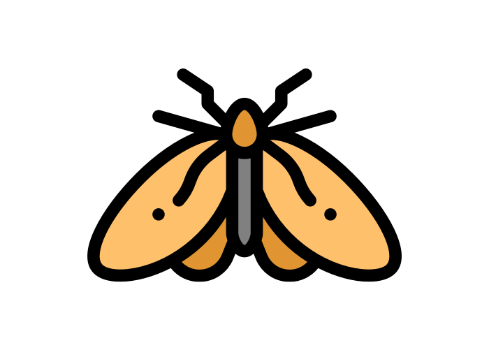 moth cartoon moth from Franklin Pest Solutions