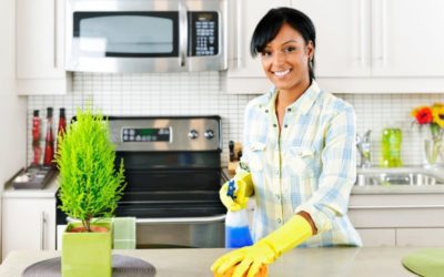 Keep the Roaches Away With These Cockroach Prevention Tips