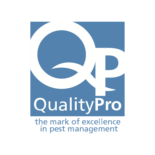 Logo of QualityPro