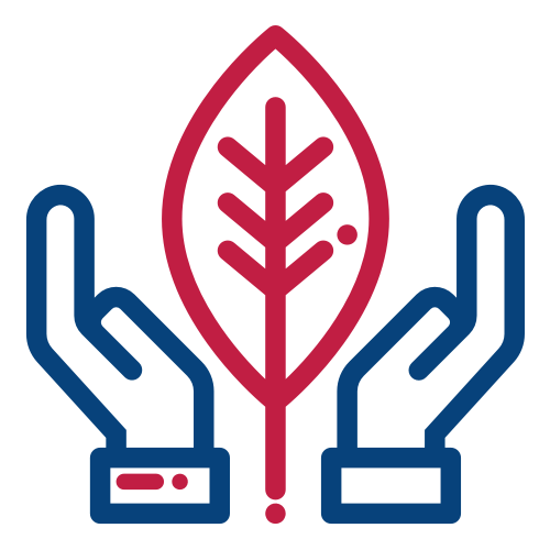 Icon of hands holding a leaf