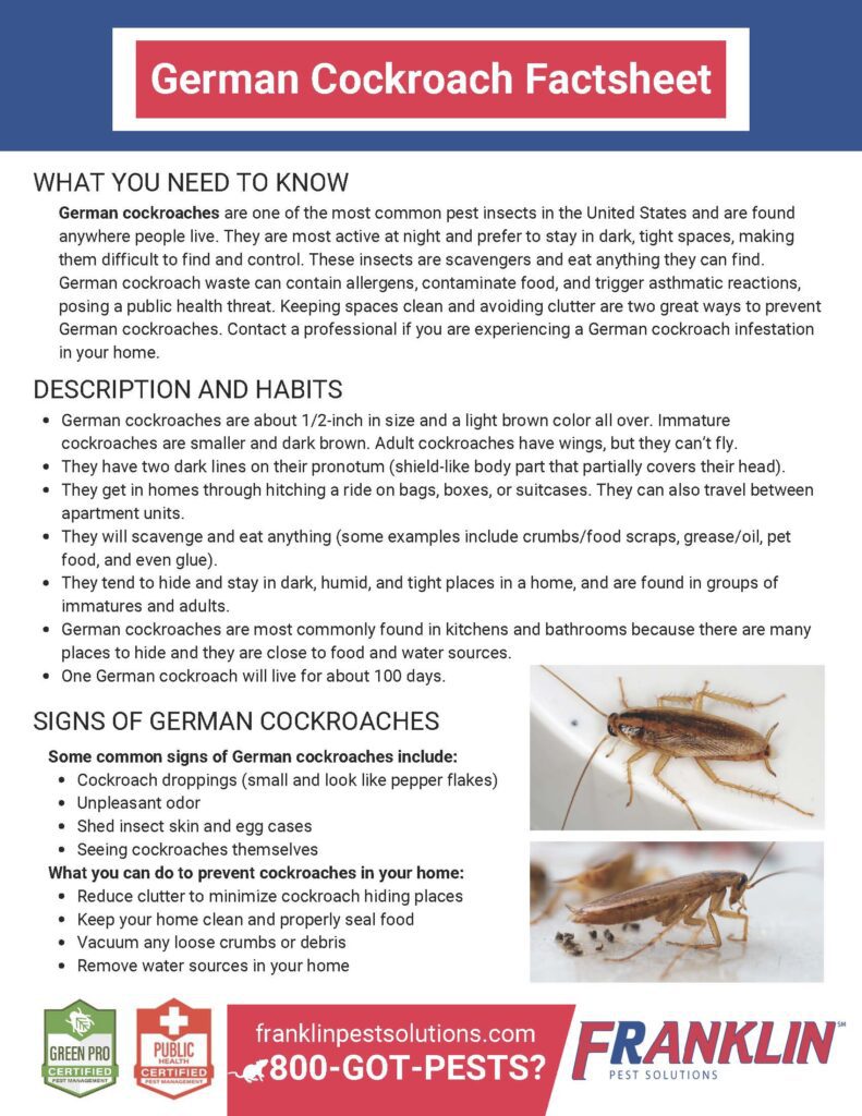 german cockroach fact sheet