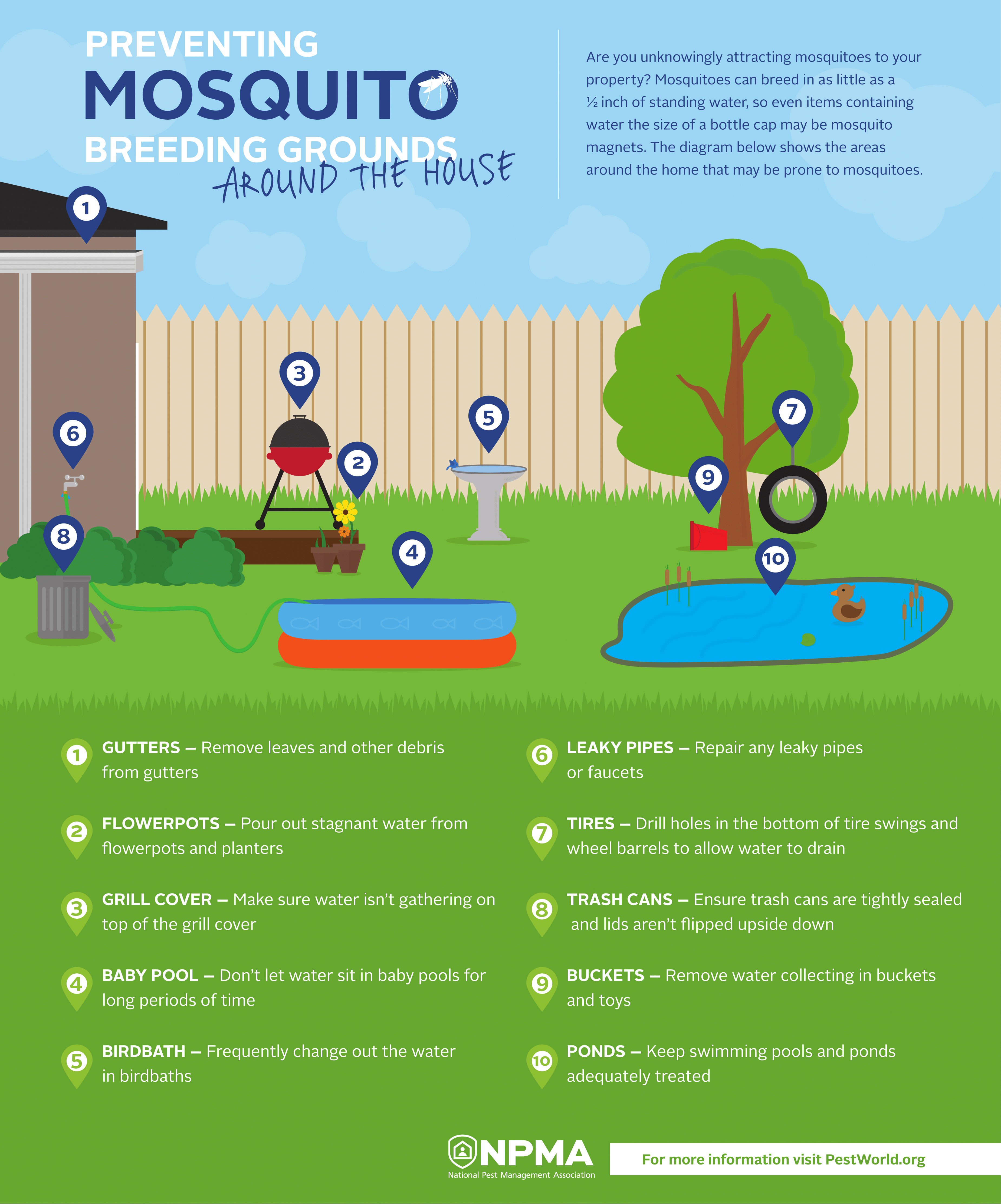 NPMA_mosquito-breeding-infographic-1.png