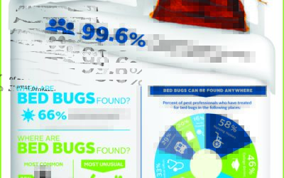 Bed bug info in one convenient infographic!