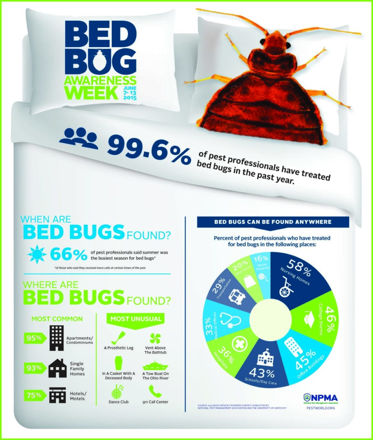 bbaw-infographic bbaw-infographic
