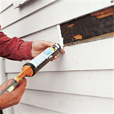 pest proofing the house