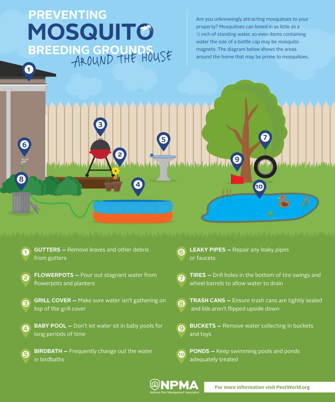 An Infographic About Tips for Preventing Mosquitoes Around the Home by Eliminating Standing Water.