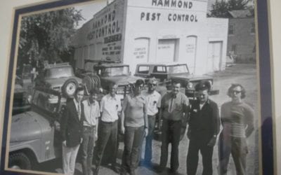 Hammond Pest Control, exterminator experts NW IN!