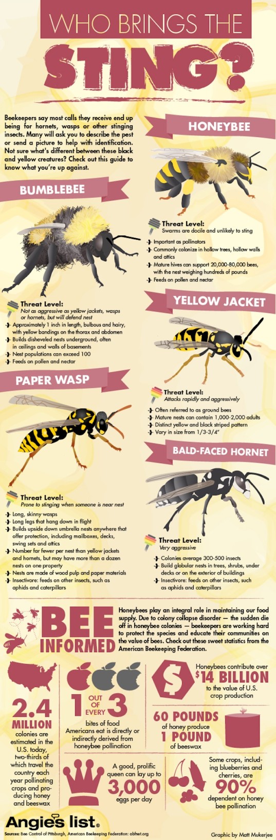 Bee-Graphic-Web-e1411977293979
