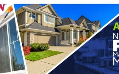 National Pest Management Month: Spring Cleaning Tips
