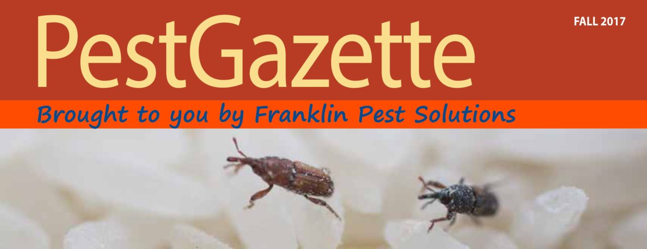 Franklin_PestGazette_Fall2017_Header-1.jpg