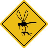 Mosquito_Carrying_Man