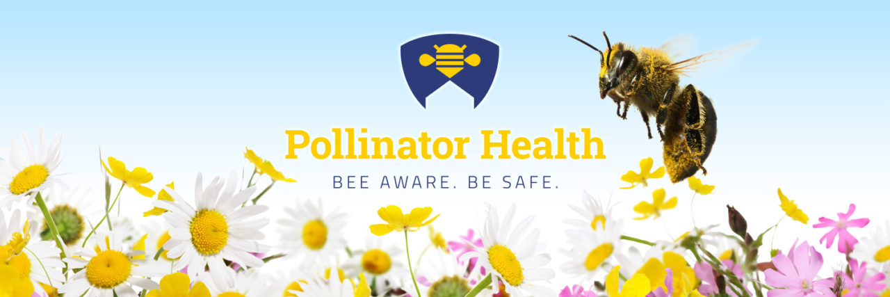 Polinator-Twitter-Cover-Photo.jpg