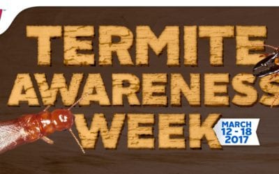 This is Termite Awareness Week