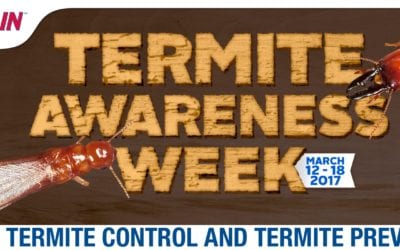 Termite Awareness Week: Control and Prevention