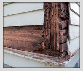 home_destroyed_by_termites-resized-600