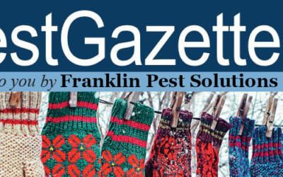 Winter Pest Control Tips 2020