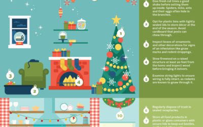 6 Smart Ways to Keep Pests Out During the Holidays