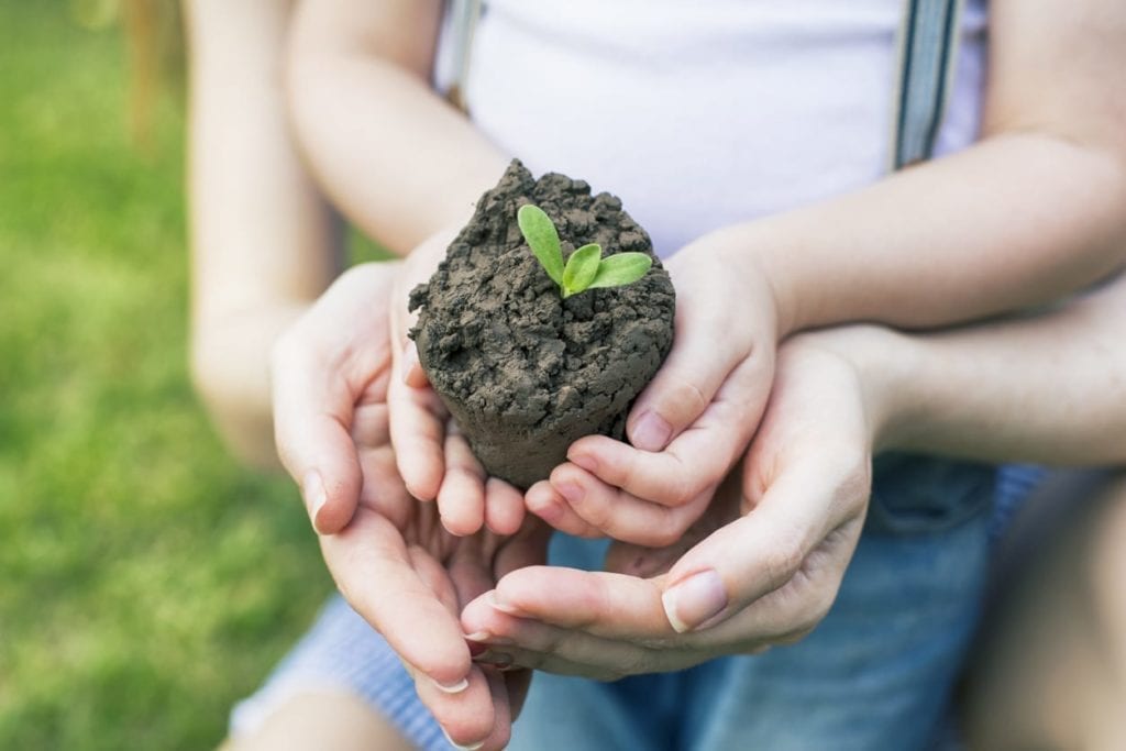 Close-up of adult and child hands together holding a small mound of soil with a green seedling sprout, symbolizing protecting health, with green grass visible in the background.