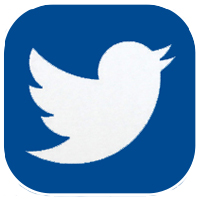 White silhouette of a bird facing right on a blue background, representing the Twitter logo and symbolizing a platform dedicated to raising awareness.