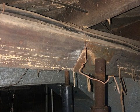 Termite webs in abandoned house,IN Termite webs in abandoned house,IN