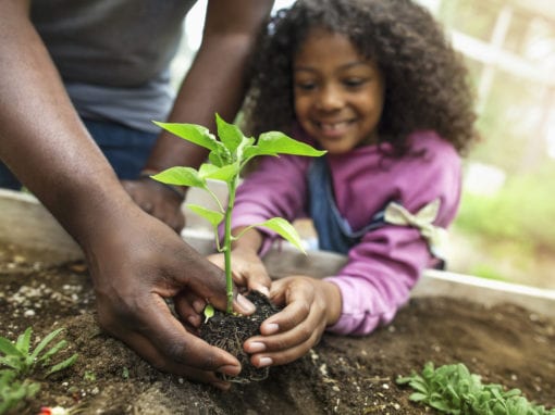 An adult and a child plant a young seedling together in a garden bed, with the child smiling and helping to hold the plant—an inspiring start for anyone learning How to Plant a Pollinator Garden.