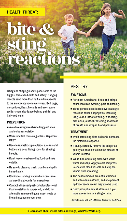 stings from bees and wasps