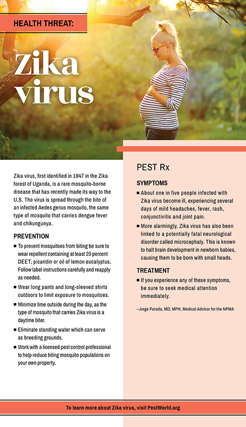 bees and wasps stings
