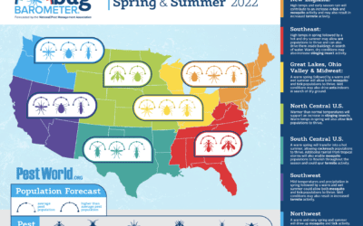Summer Pest Forecast & Mosquito Services Tips