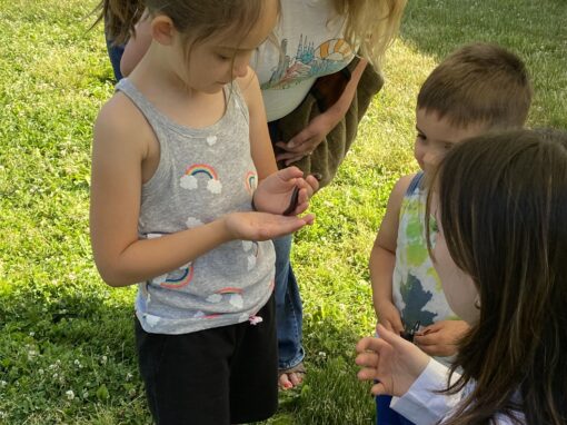 girl holds live insect