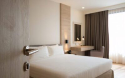 10 Bed Bug Myths Debunked
