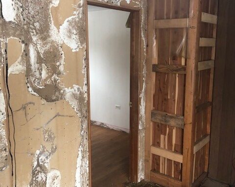 termite damage behind drywall in flooded basement