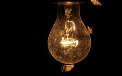 How Do I Get Rid of Insects Attracted to Light at Night?