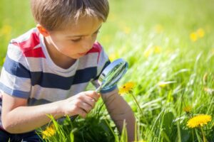 Partner with the Professionals to Keep Insects Under Control All Year