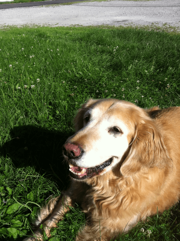 Dusty2