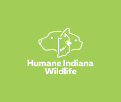 humane indiana wildlife Humane wildlife removal services in Indiana