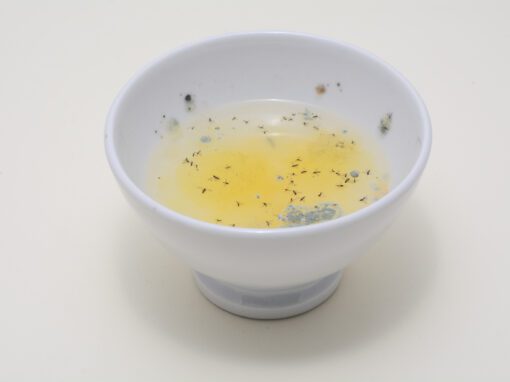 diy fly trap
