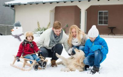 Never Too Late to Winterize Your Home Against Winter Pests!