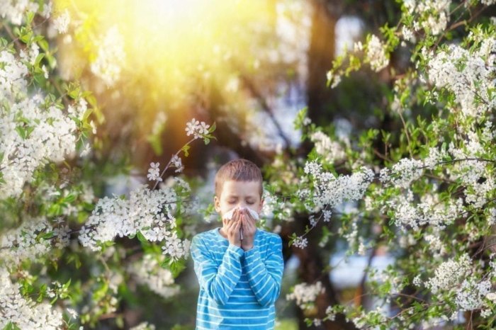 A Young Boy Experiencing Symptoms of Seasonal Allergies