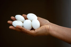 A hand holding several white, oval-shaped silk cocoons against a dark background raises the question: do mothballs work to keep bugs out of the house?.