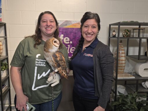 Two women stand indoors, one holding a barn owl. They are smiling, with shelves and decorative items in the background, creating a cozy scene reminiscent of kitten adoption events in Michigan City.