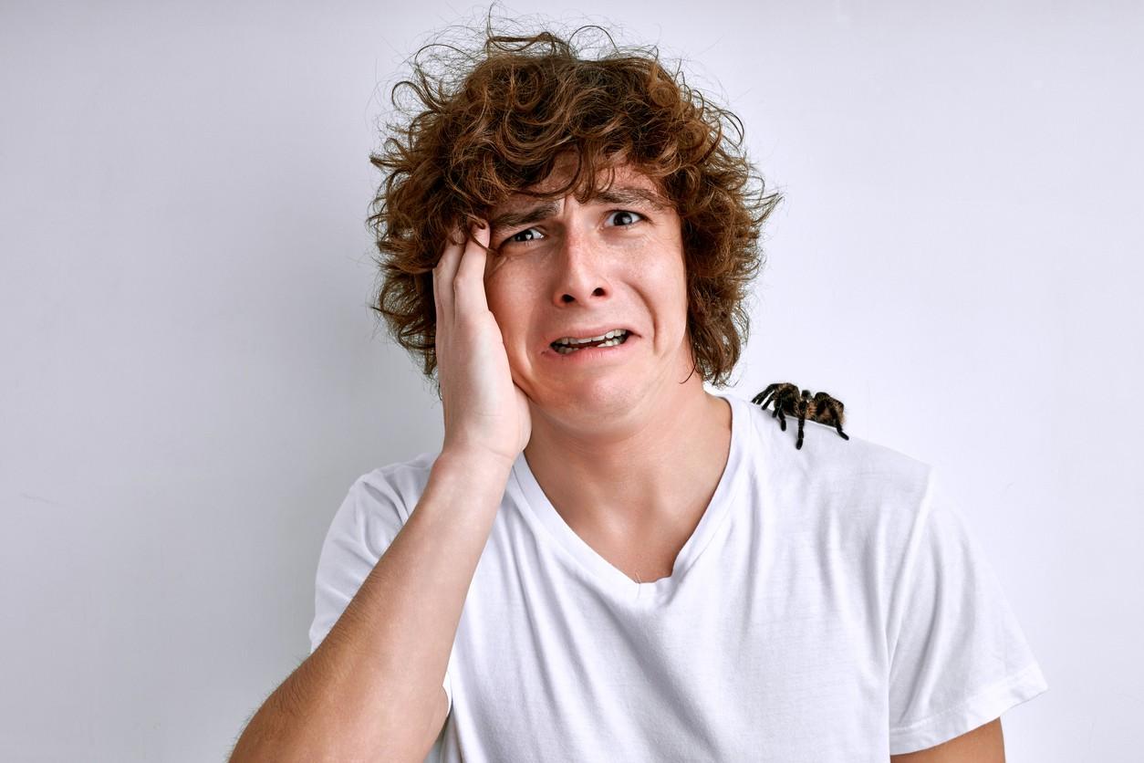 Professional pest control service treating residential property for insects and pests