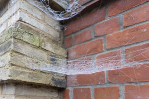 Spiderwebs on house walls stretch between a corner, where one side reveals weathered, mossy bricks and the other displays newer red bricks.